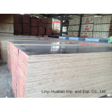 Combind Core Film Faced Plywood 610*2500*20mm